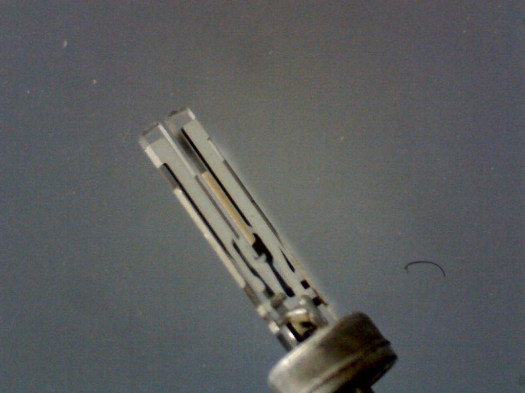 Quartz Tuning Fork Biosensor